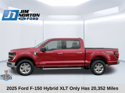 2025 Ford F-150 XLT
