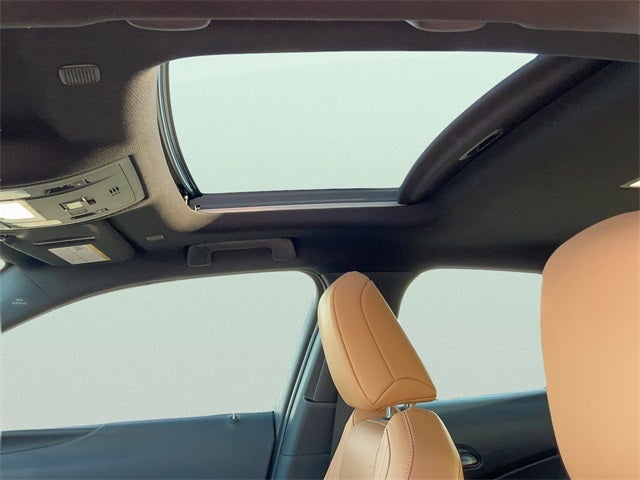 2023 Lexus UX 250h Premium